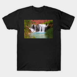 Navajo Falls T-Shirt